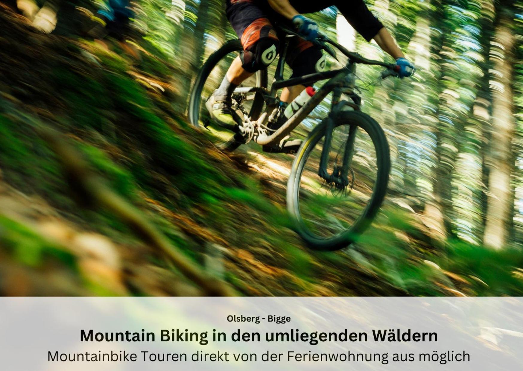 Ferienwohnungen Sauerland Und Olsberg Eksteriør bilde