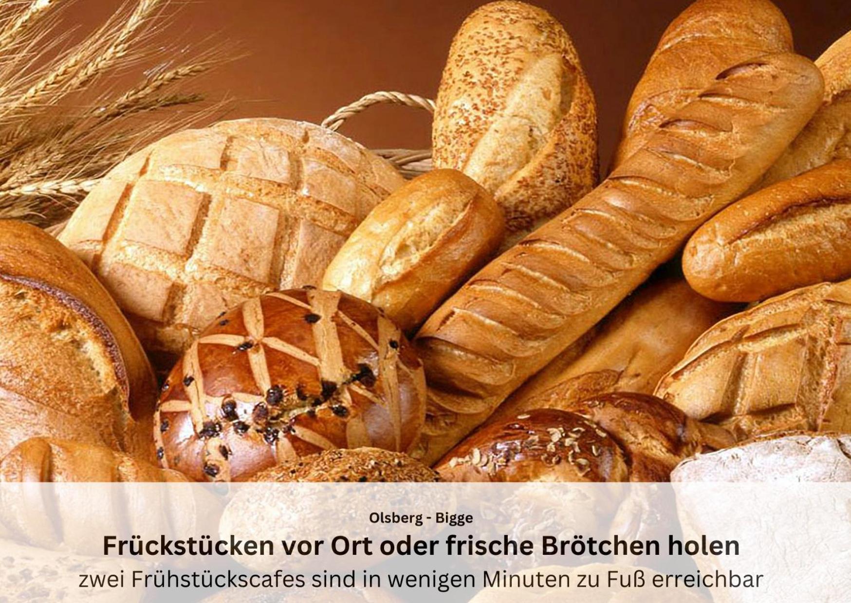 Ferienwohnungen Sauerland Und Olsberg Eksteriør bilde