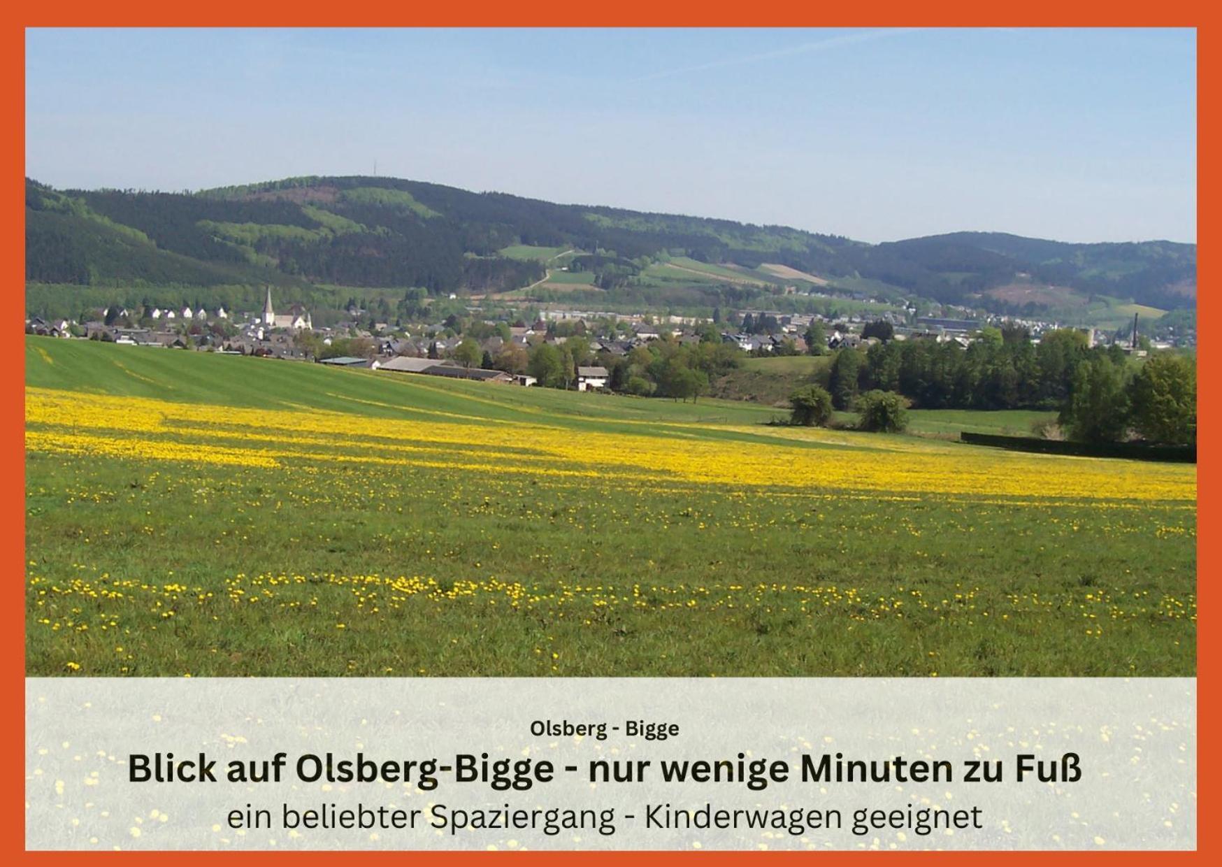 Ferienwohnungen Sauerland Und Olsberg Eksteriør bilde