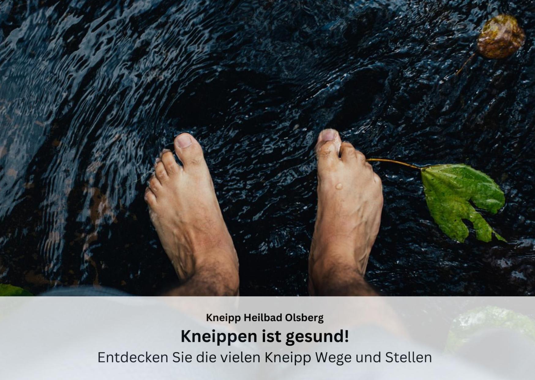 Ferienwohnungen Sauerland Und Olsberg Eksteriør bilde