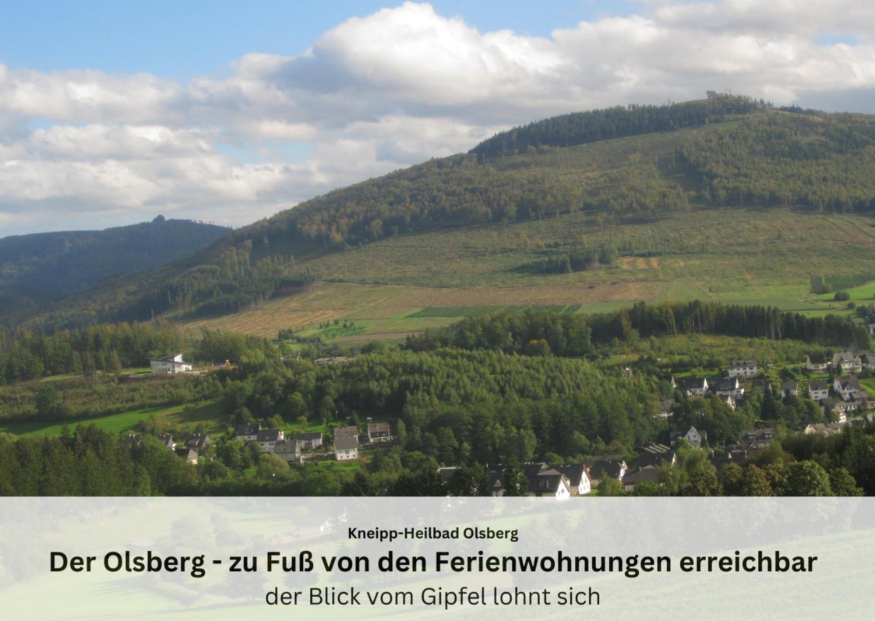 Ferienwohnungen Sauerland Und Olsberg Eksteriør bilde