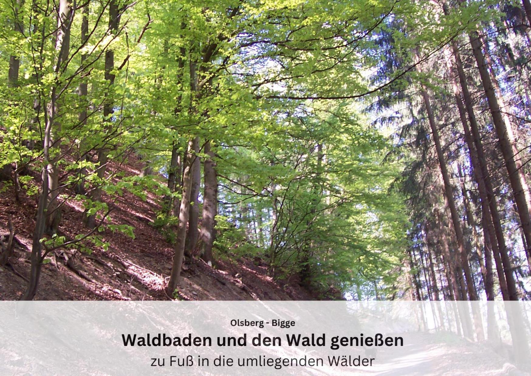 Ferienwohnungen Sauerland Und Olsberg Eksteriør bilde